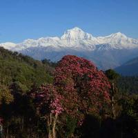 Poon-Hill-View