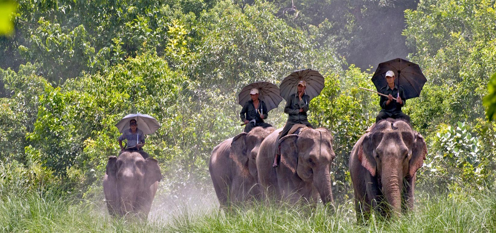 Chitwan National park